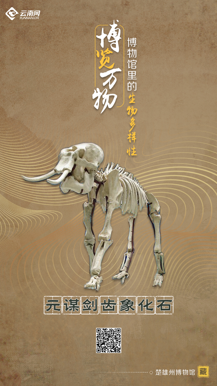 玉溪发布(微信)
