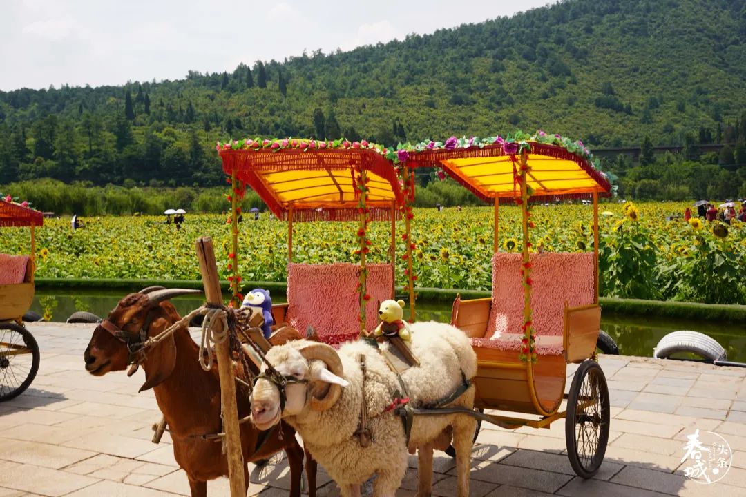 昆明发布(微信)