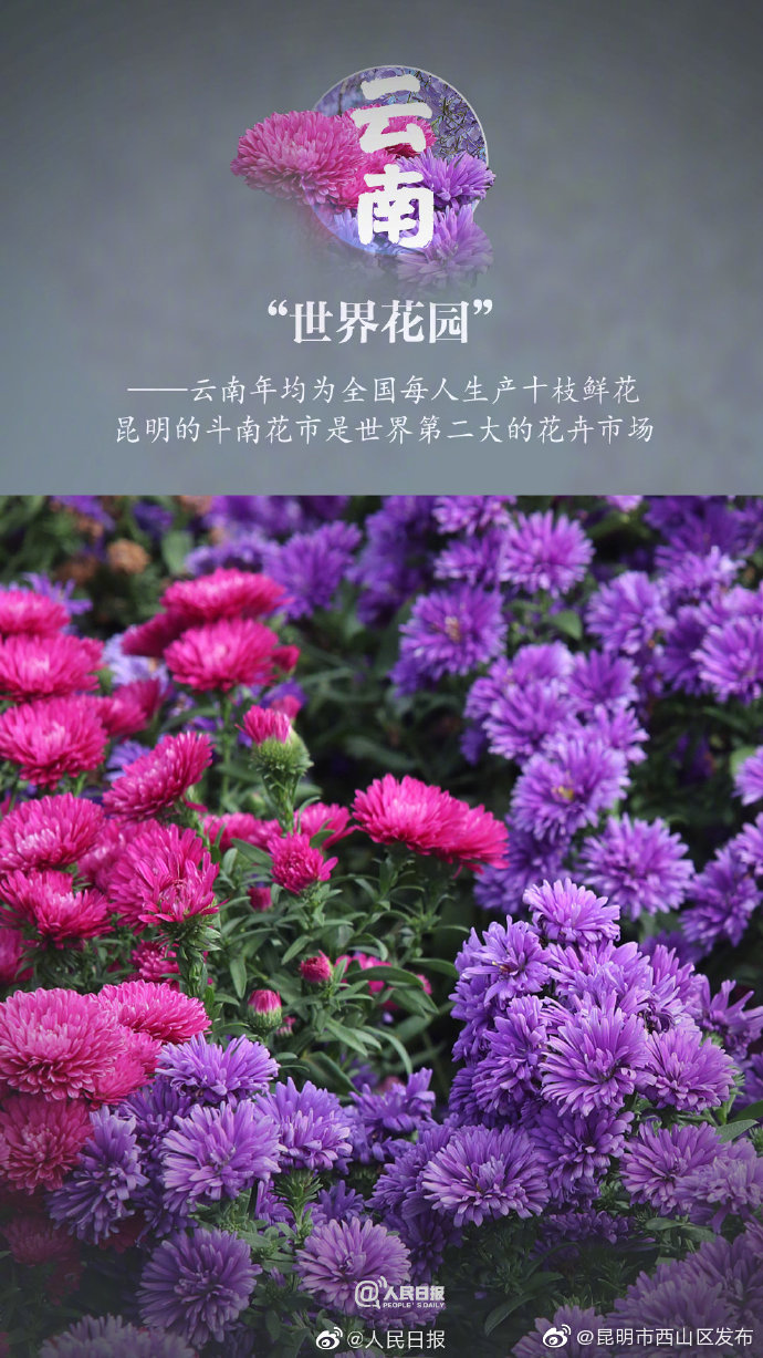 “昆明市西山区发布”微博