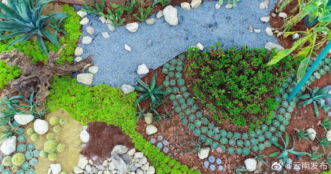 “云南发布”微博