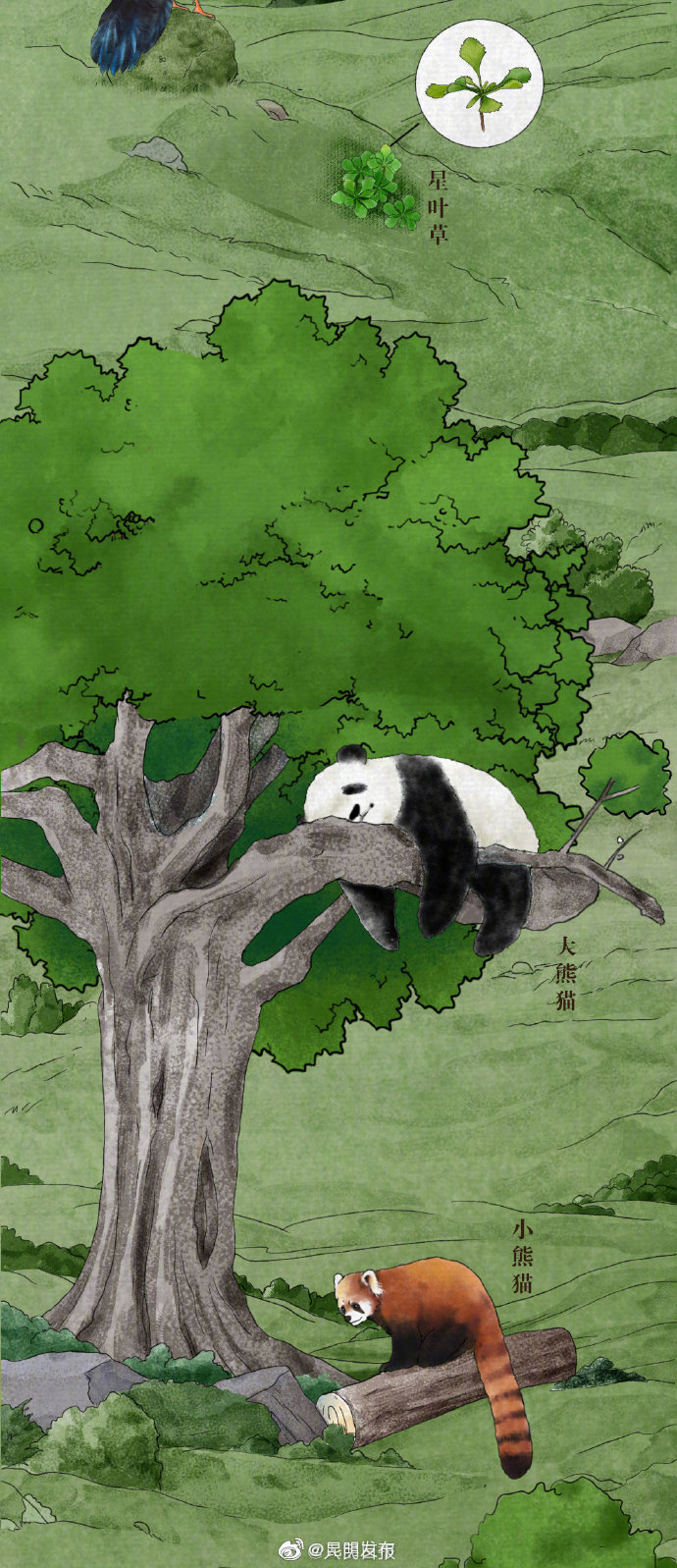 “昆明发布”微博