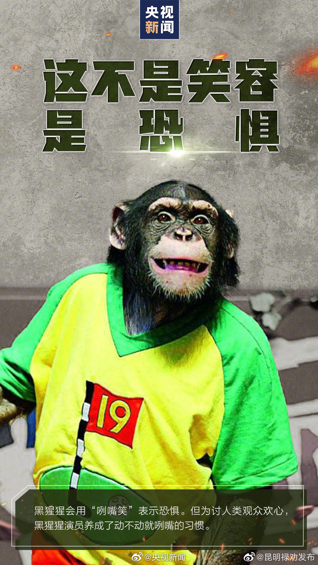 昆明禄劝发布
