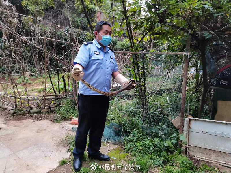 “昆明五华发布”微博