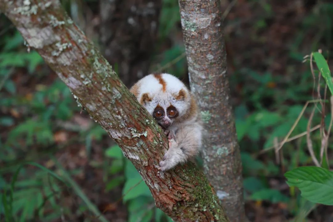 普洱日报(微信)