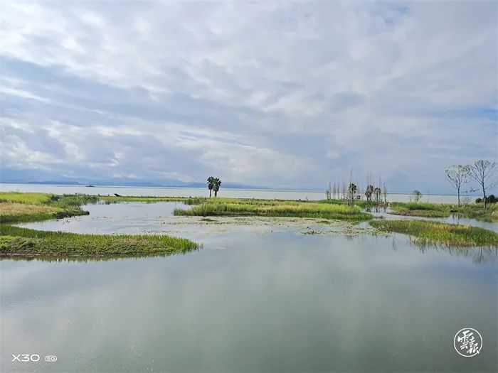 盘龙共青团(微信)