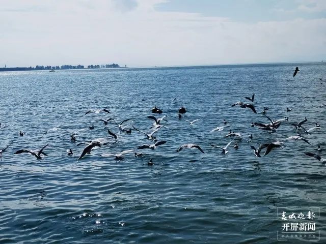 昆明滇池国家旅游度假区管理委员会(微信)