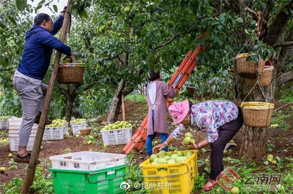 “昆明发布”微博
