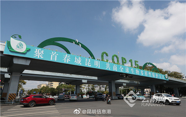 昆明信息港微博