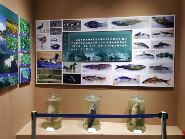 春城晚报(微信)