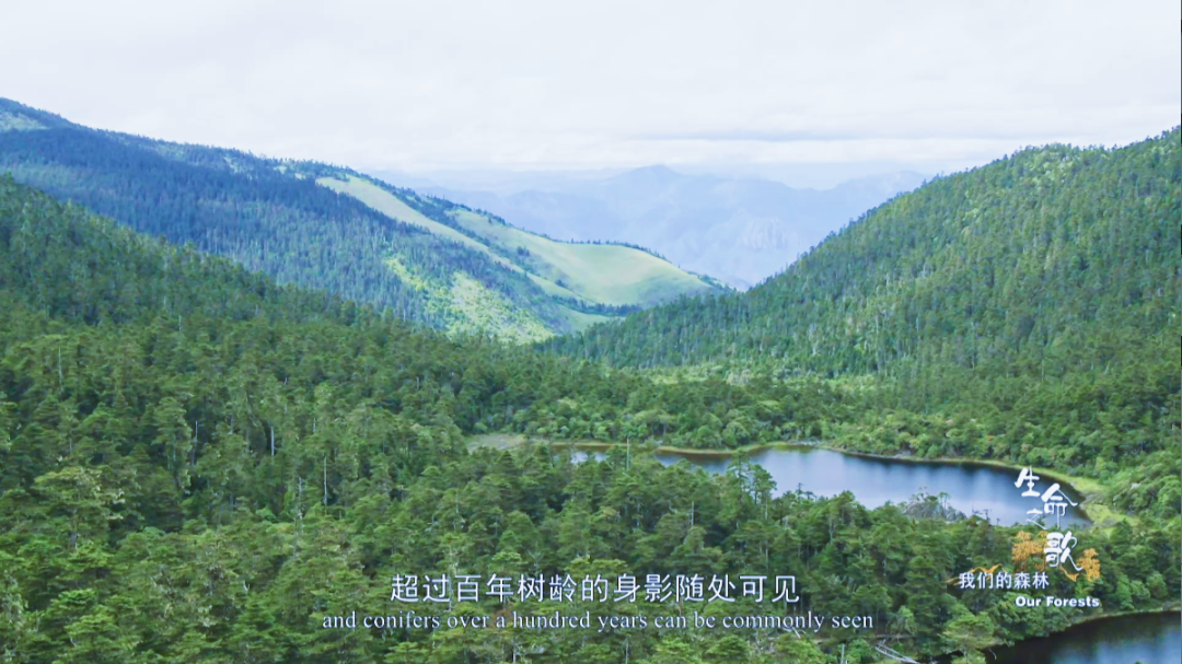 云南广播电视台(微信)