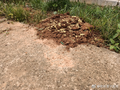 昆明晋宁发布