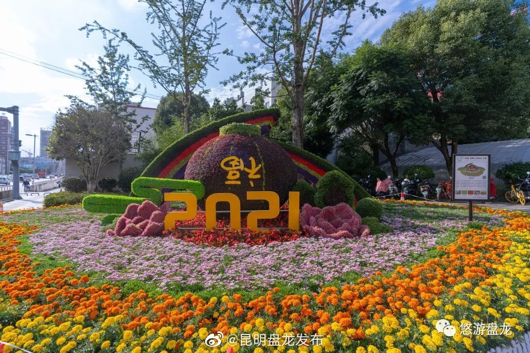 昆明盘龙发布