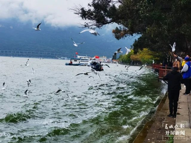 昆明滇池国家旅游度假区管理委员会(微信)