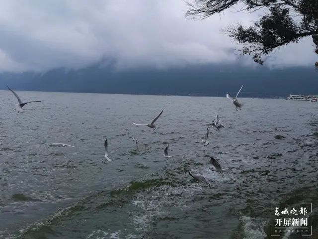 昆明滇池国家旅游度假区管理委员会(微信)