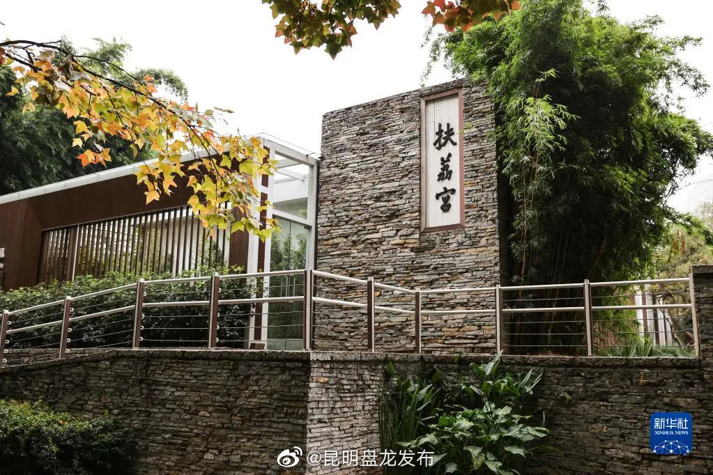 昆明盘龙发布
