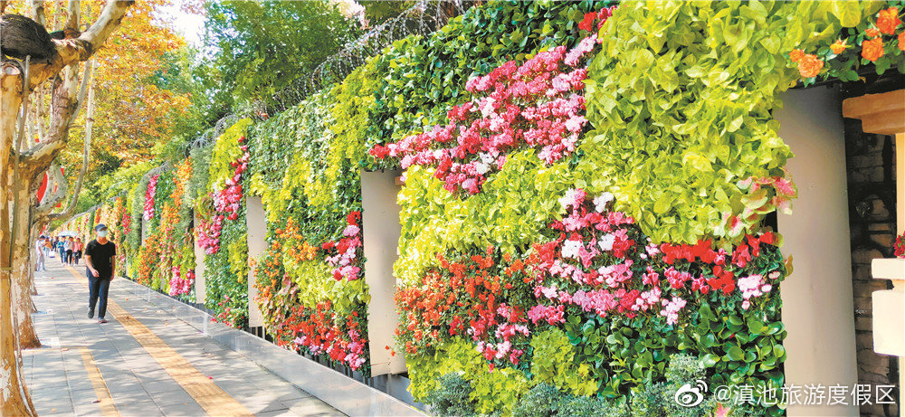 “滇池旅游度假区”微博