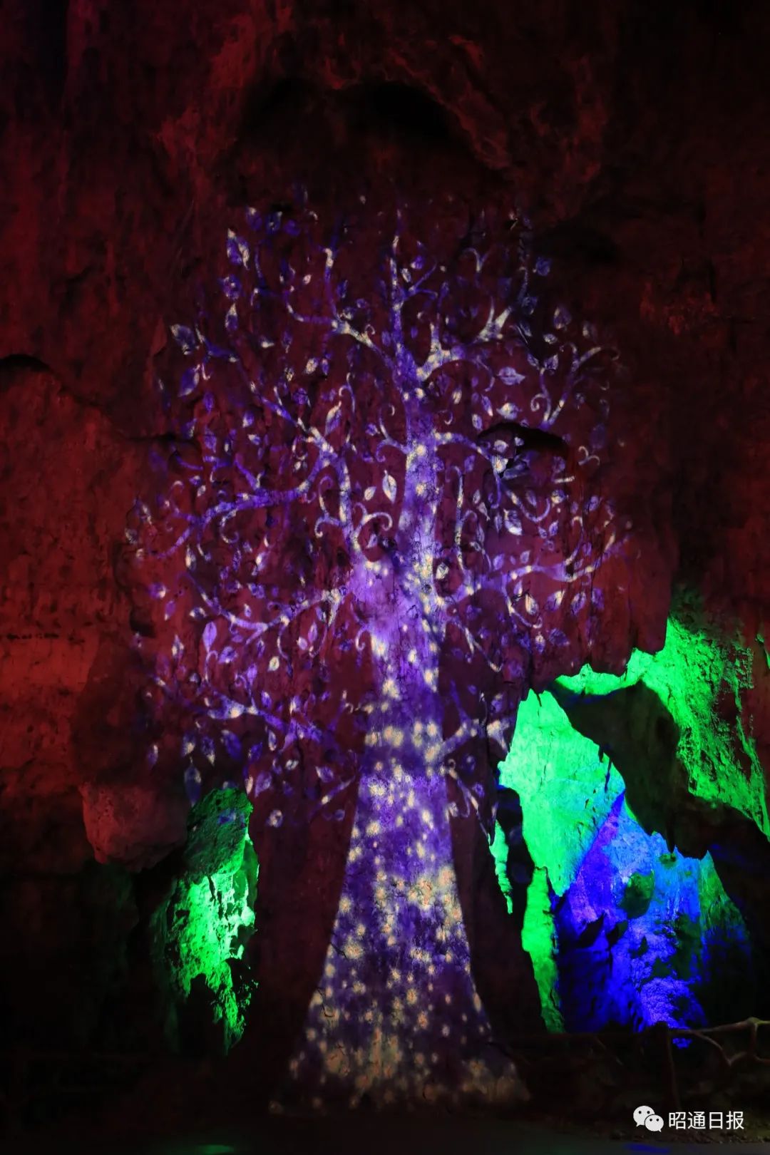 昭通日报(微信)