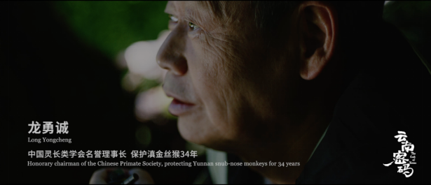 玉溪发布(微信)