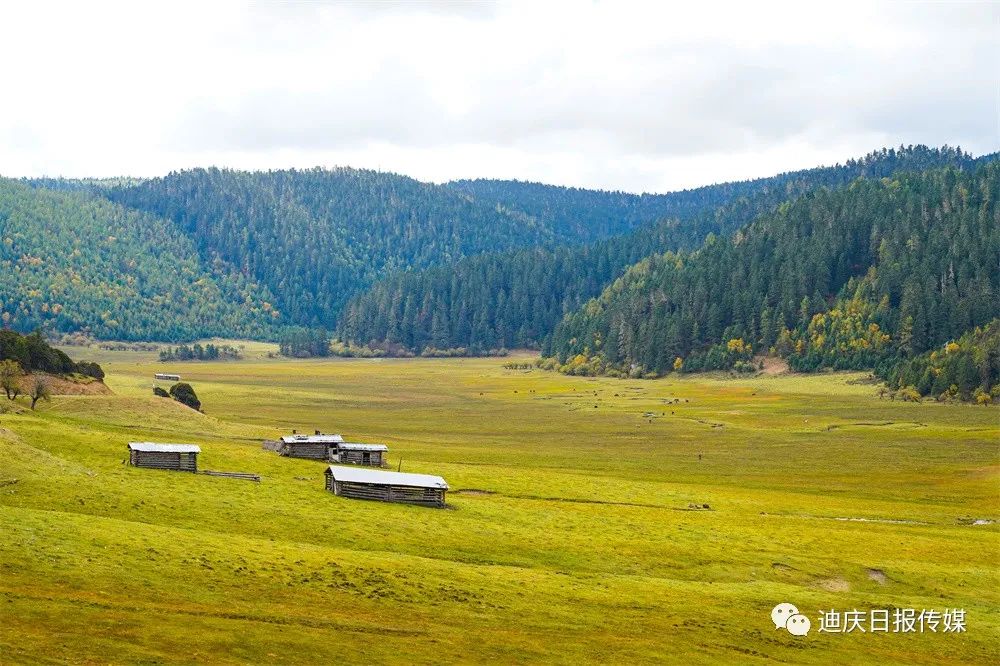 迪庆日报传媒(微信)