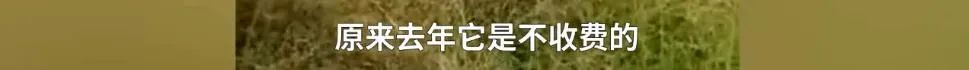 春城晚报(微信)