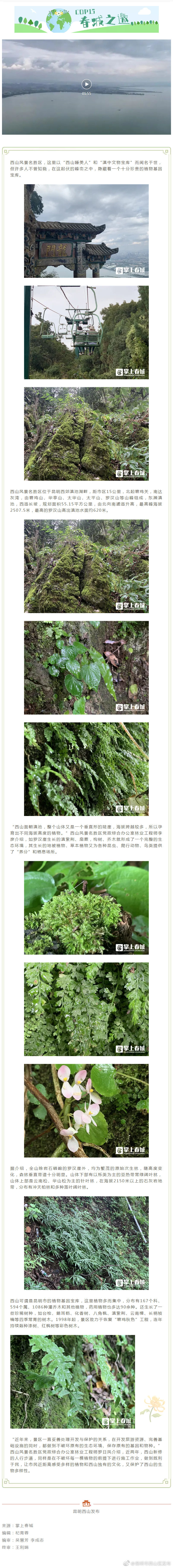 COP15·春城之邀 | 西山风景名胜区里藏着一个植物基因宝库