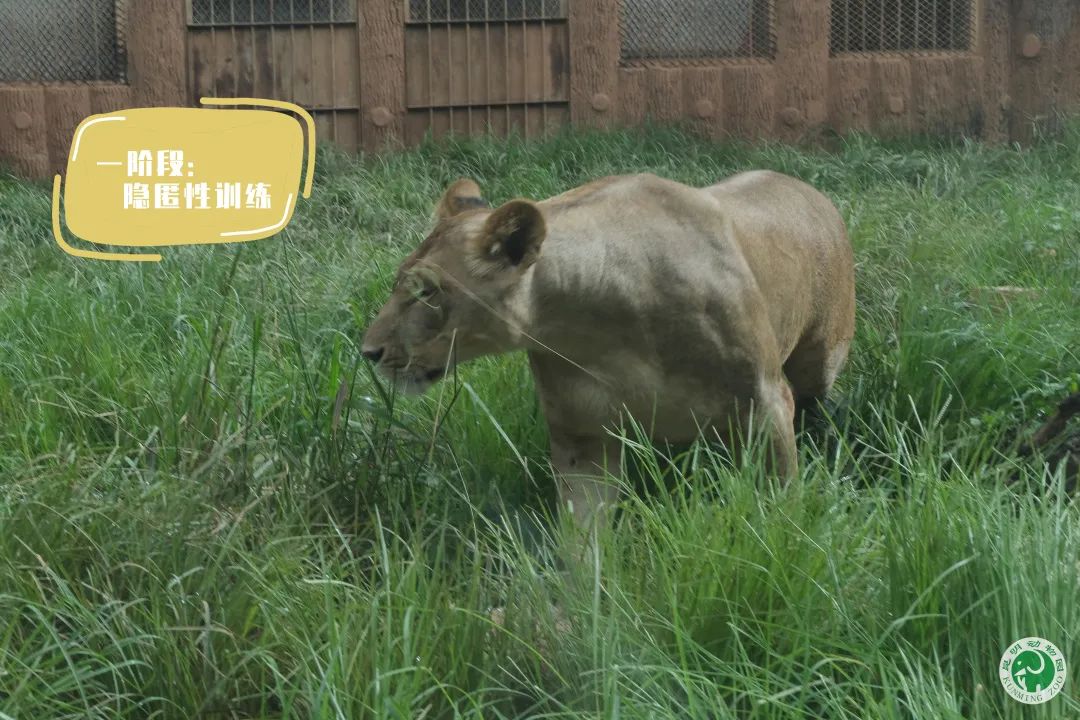 昆明动物园