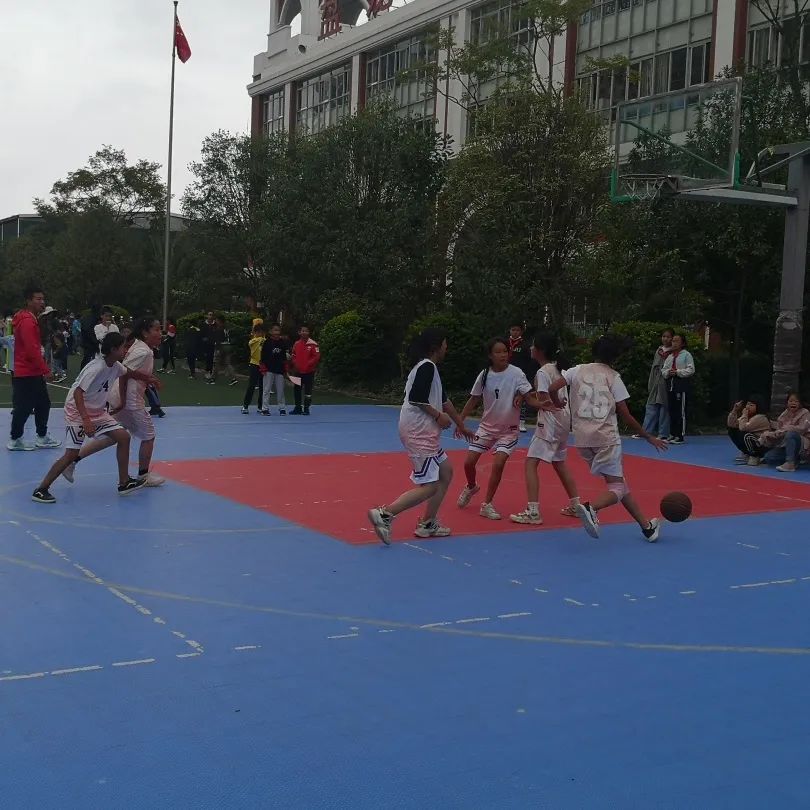 盘龙教育(微信)