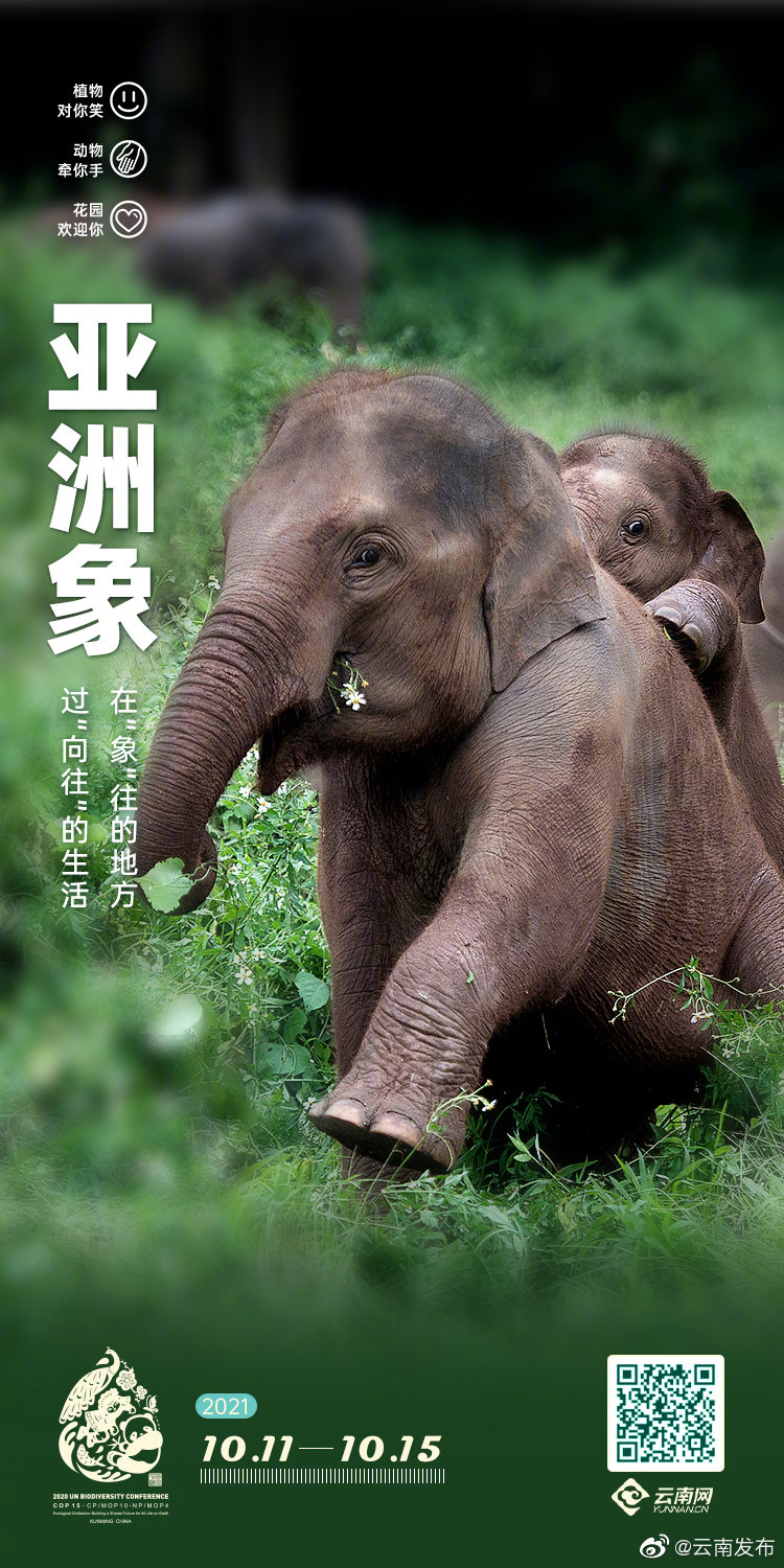 “云南发布”微博