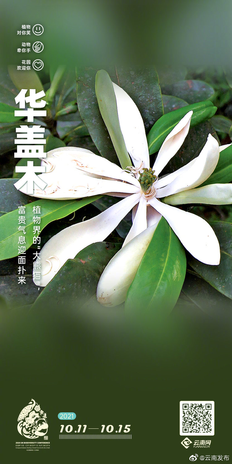 “云南发布”微博