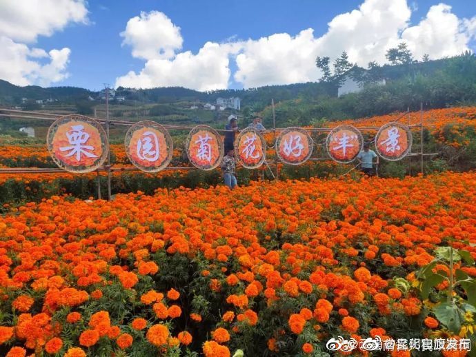 “昆明官渡发布”微博