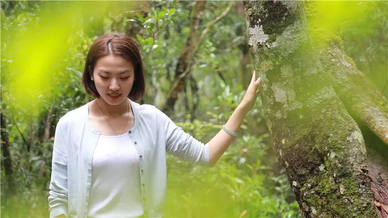 红河文旅(微信)