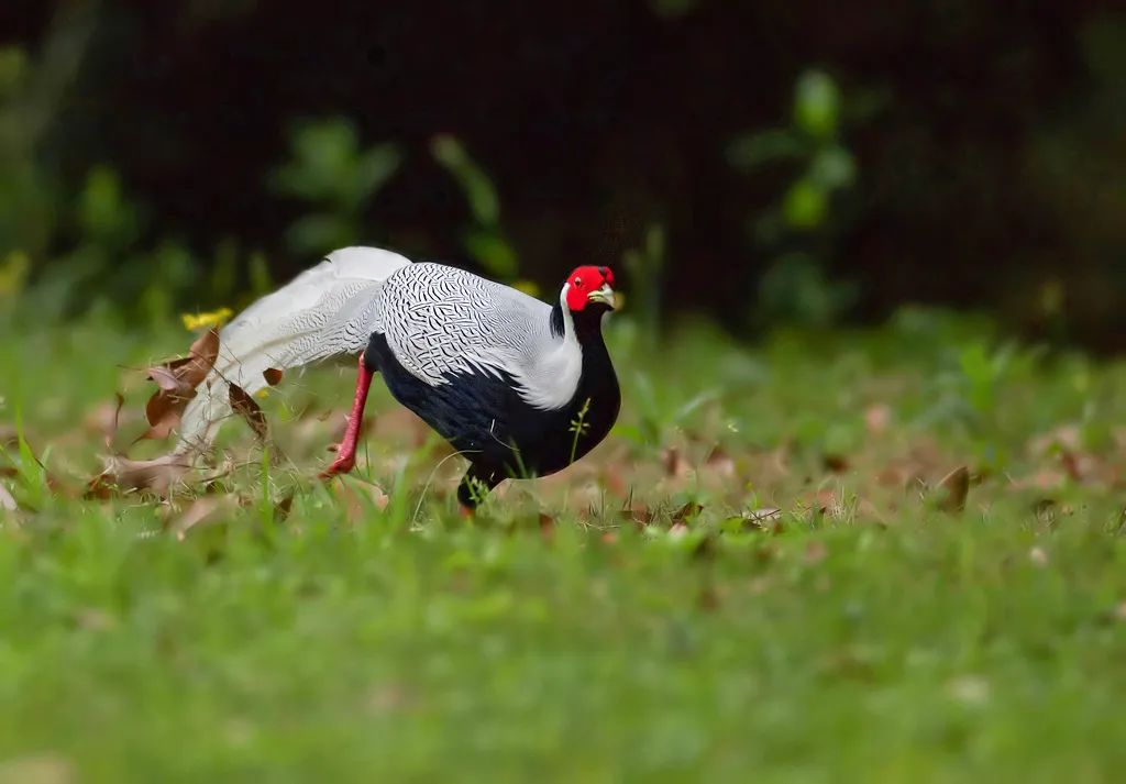 云南广播电视台(微信)