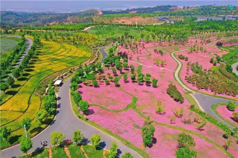 红河文旅(微信)