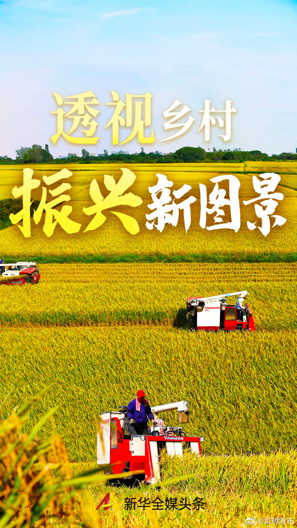 嵩明发布