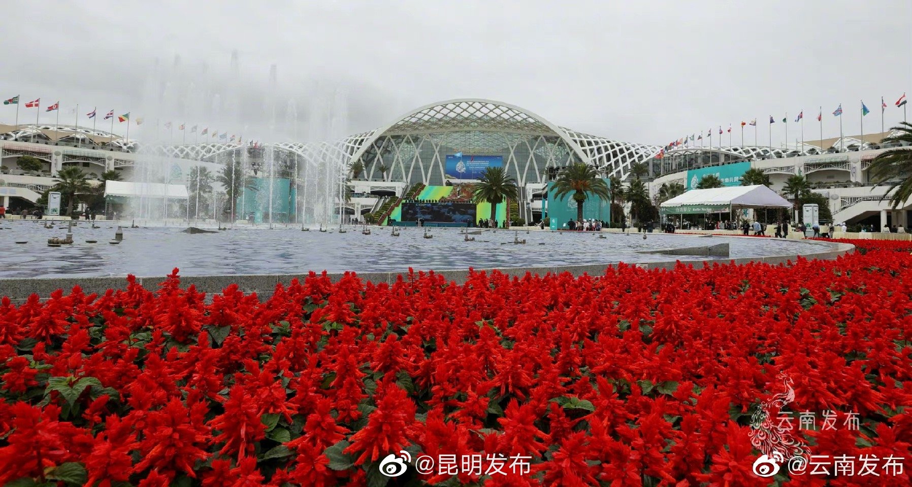 “昆明发布”微博