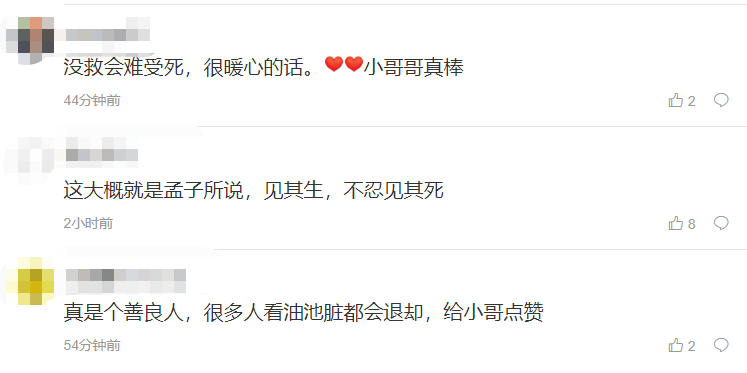 春城晚报(微信)