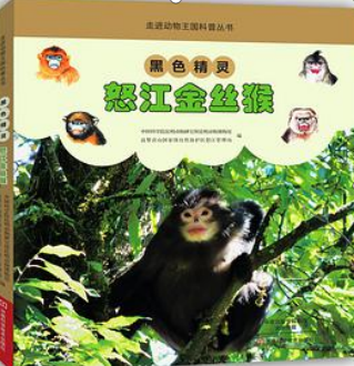 云南省图书馆(微信)