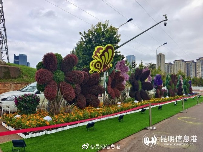 昆明信息港微博