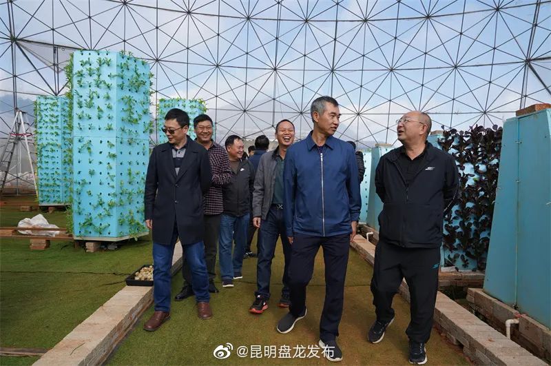 昆明盘龙发布