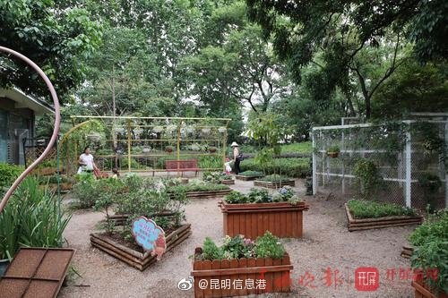 昆明信息港微博