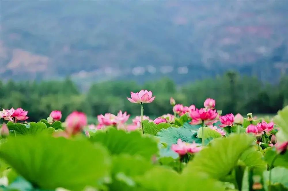 云南广播电视台(微信)