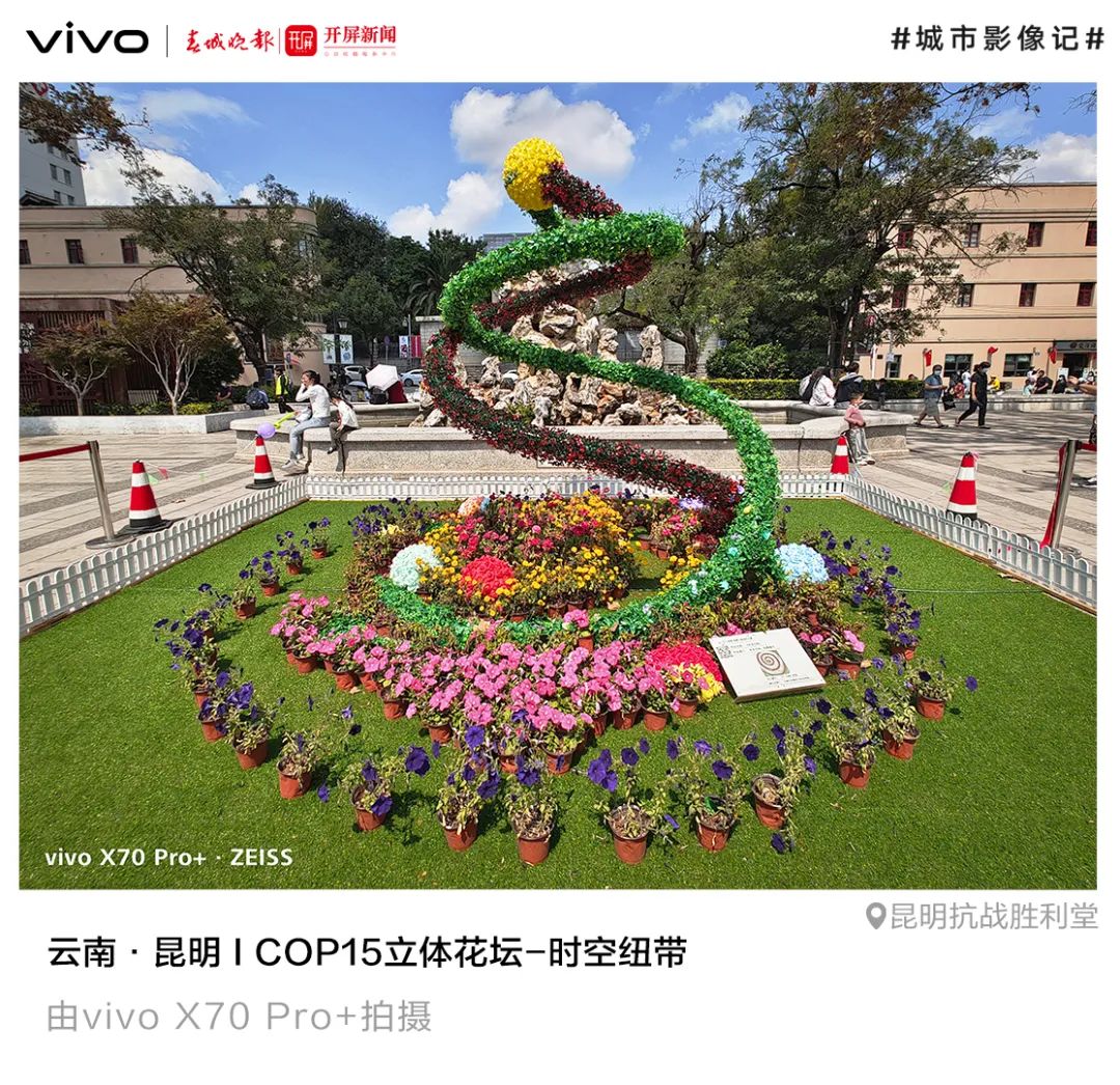 春城晚报(微信)