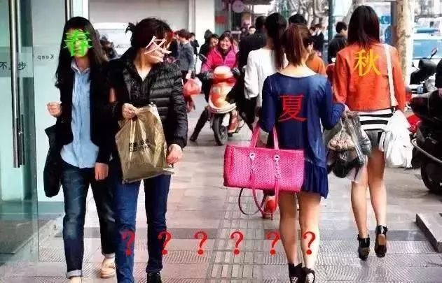 昭通日报(微信)