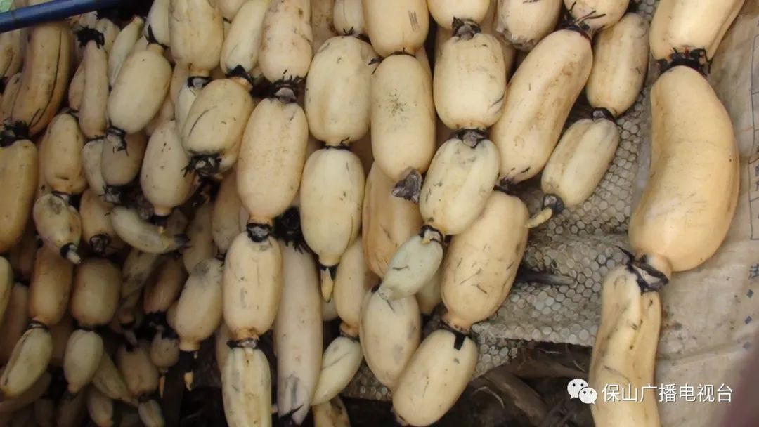 保山新闻网(微信)