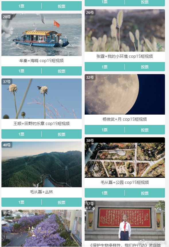 嵩明发布