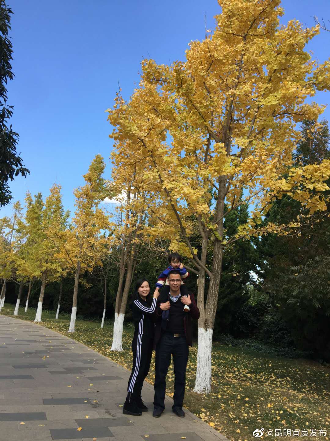 “昆明宜良发布”微博