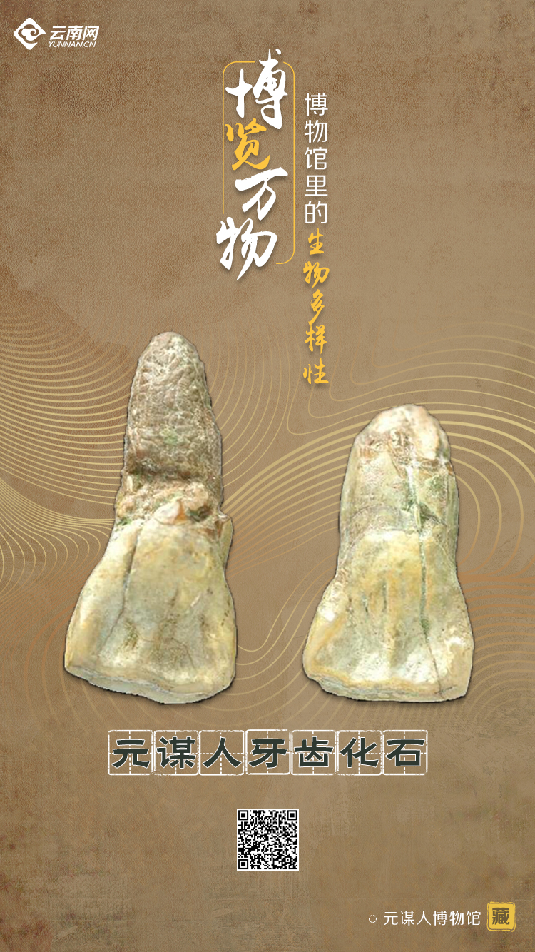 玉溪发布(微信)