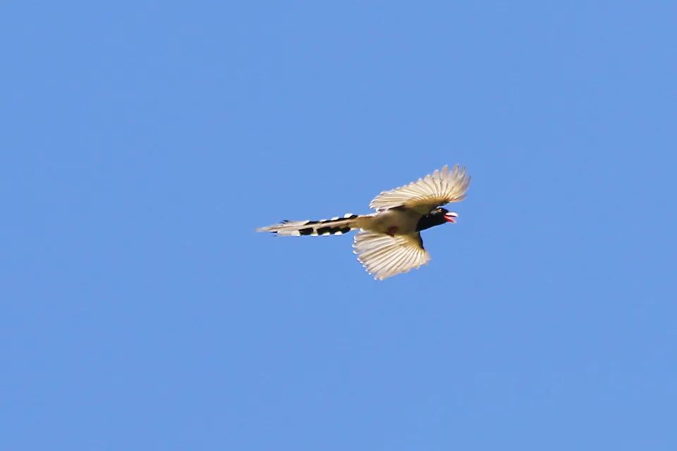 云南广播电视台(微信)