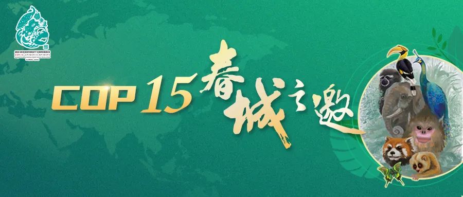 丽江日报(微信)