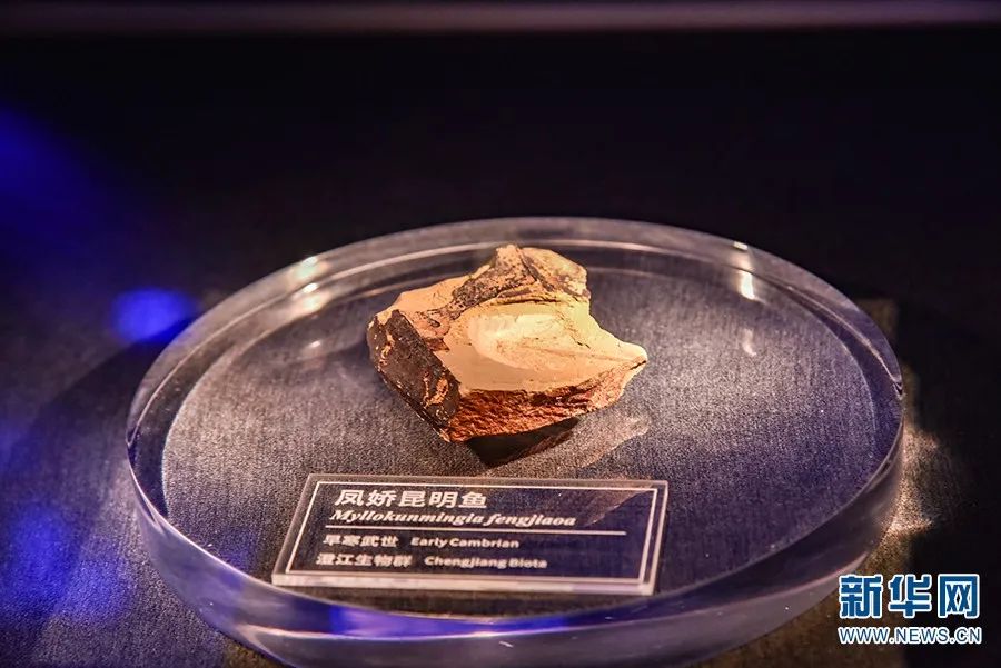 昆明市科协